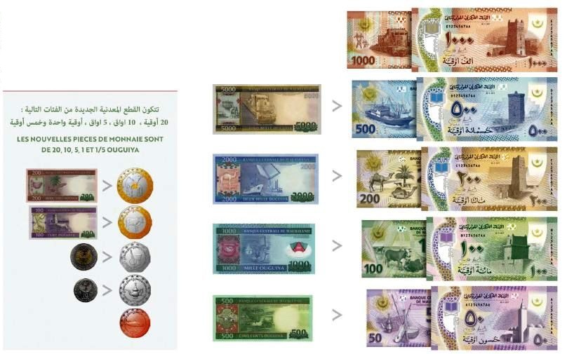البنك المركزي: الأوراق النقدية الجديدة الممزقة صالحة للتداول