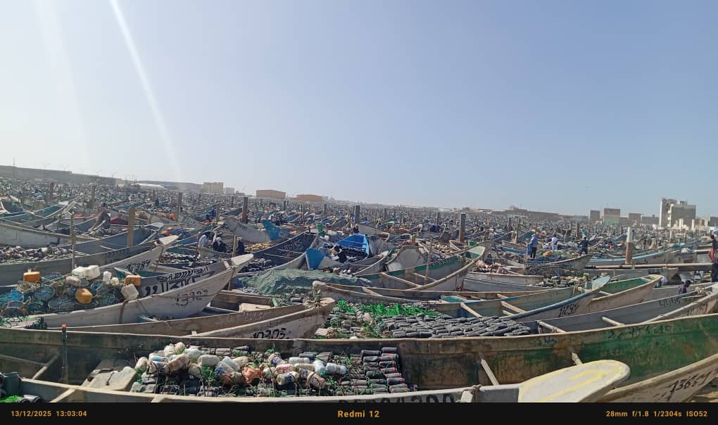 بعد توقيف طويل.. أحاديث وأحلام الصيادين التقليدين قبيل الاستئناف