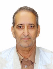 المجتمع والسلطة والذاكرة.. ابن طُوير الجَنّة الوداني والتأريخ لزمن التحولات
