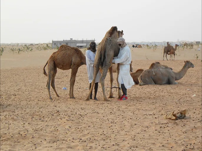 ارتفاع بؤر "الوادي المتصدع" إلى 48 والسلطات تدعو للالتزام بالإرشادات