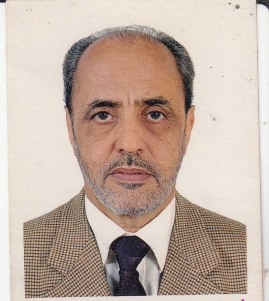 محمد هيبتنا سيدي هيبه يكتب: تحدي التناوب على السلطة