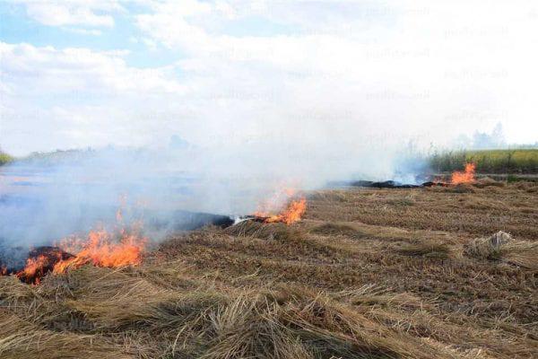 حريق في ضواحي حنفية باگناتير بولاية الترارزة