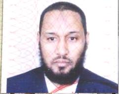 الإسلاميون بعد شهر العسل والبصل؟!