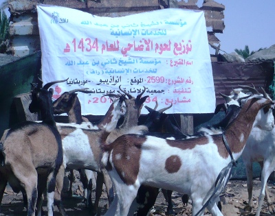 لحوم لفقراء مدينة نواذيبو